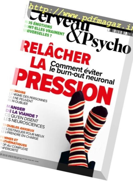 Cerveau & Psycho – Janvier 2017 Cover