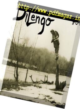 Dilengo – N 04, 2015