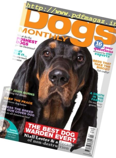 Dogs Monthly – January 2017 Cover