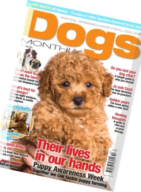Dogs Monthly – October 2015 Cover