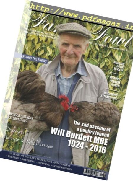 Fancy Fowl – December 2016 Cover
