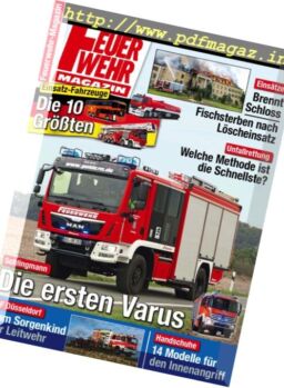 Feuerwehr – Januar 2017
