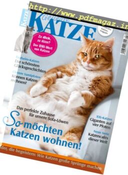 Geliebte Katze – Januar 2017