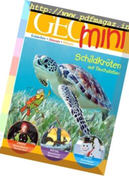 Geomini – Januar 2017