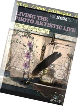 Living The Photo Artistic Life – December 2016