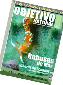 Objetivo Natural – Diciembre 2016