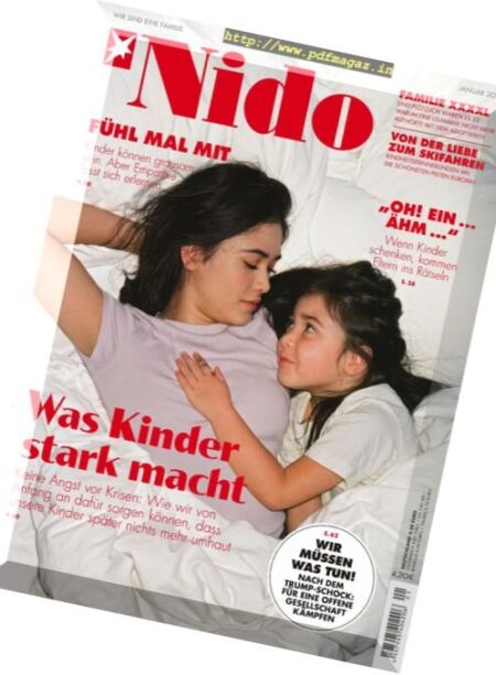 Stern Nido – Januar 2017 Cover
