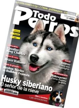 Todo Perros – Diciembre 2016