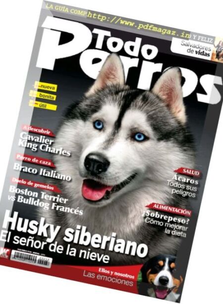 Todo Perros – Diciembre 2016 Cover