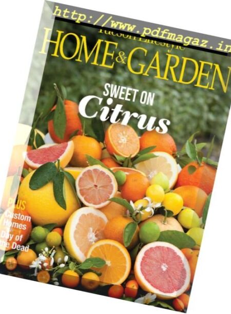 Tucson Lifestyle Home & Garden – November 2016 Cover