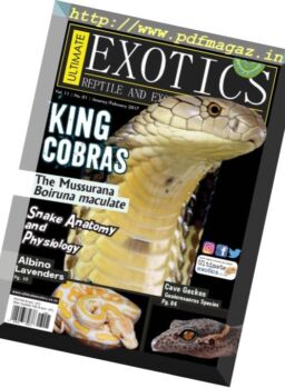 Ultimate Exotics – January-February 2017