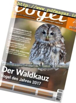 Vogel – Nr.1, 2017