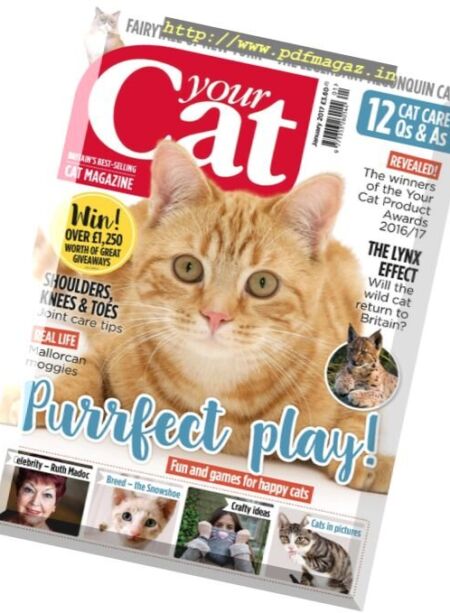 Your Cat – January 2017 Cover