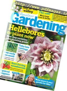 Amateur Gardening – 21 January 2017