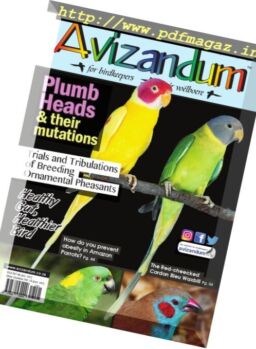 Avizandum – January 2017
