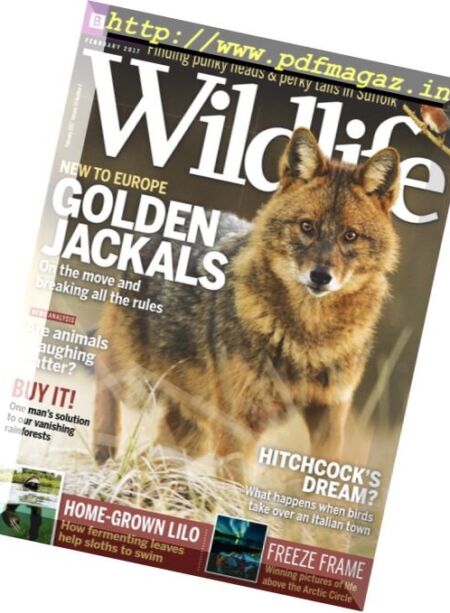 BBC Wildlife – February 2017 Cover