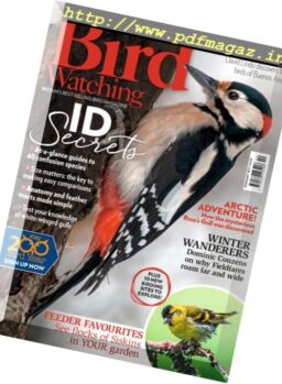 Bird Watching UK – February 2017