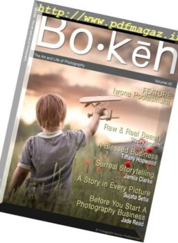 Bokeh – Volume 46, 2016