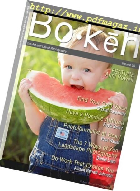 Bokeh – Volume 50 2017 Cover