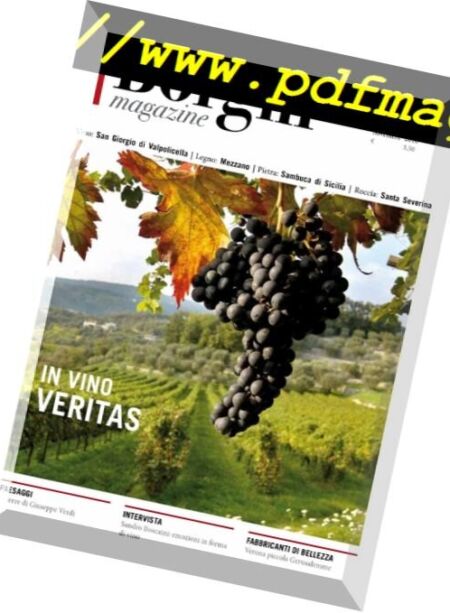 Borghi Magazine – Novembre 2016 Cover