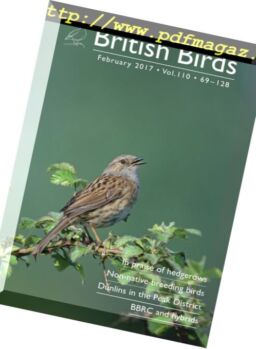 British Birds – February 2017