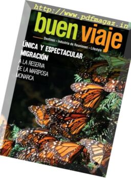 Buen Viaje – Enero 2017