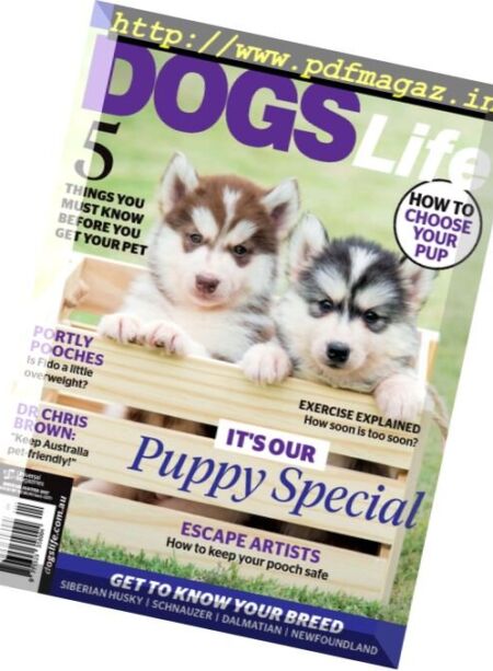 Dogs Life – January-February 2017 Cover
