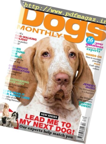Dogs Monthly – February 2017 Cover