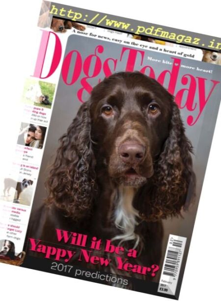 Dogs Today UK – February 2017 Cover