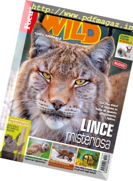 Focus Wild – Febbraio 2017 Cover