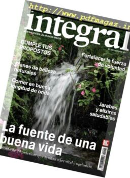Integral – Enero 2017