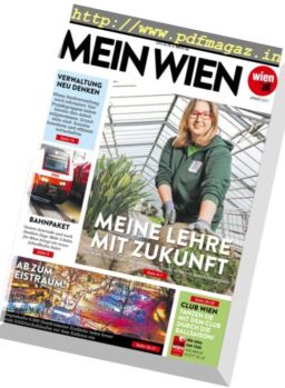 Mein Wien – Januar 2017