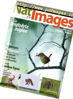 Nat’Images – Decembre 2016 – Janvier 2017