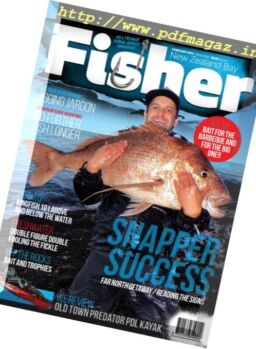 NZ Bay Fisher – February 2017