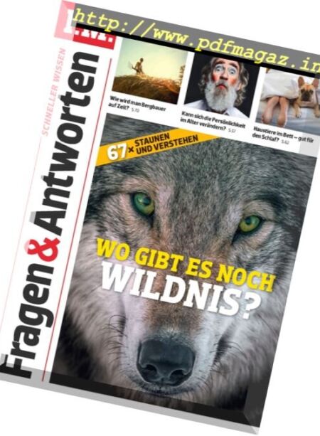 P.M. Fragen & Antworten – Januar 2017 Cover
