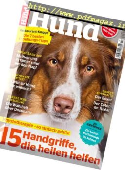 Partner Hund – Februar 2017