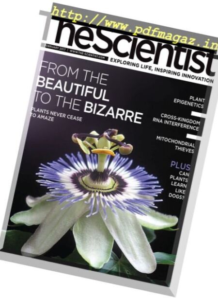 The Scientist – February 2017 Cover