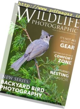 Wildlife Photographic – November-December 2016