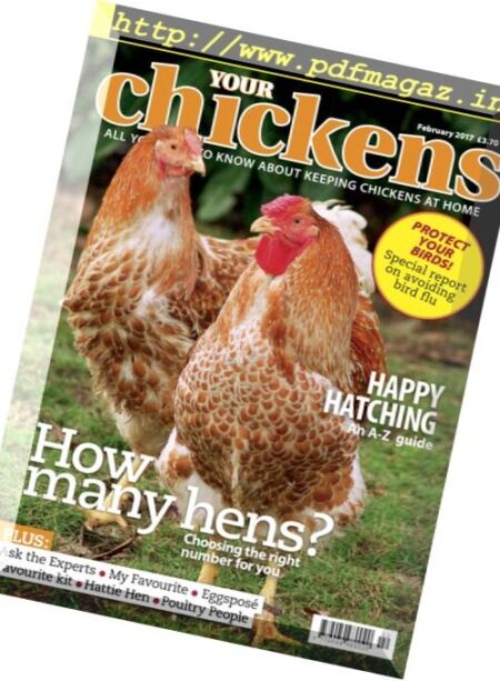 Your Chickens – February 2017 Cover