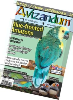 Avizandum – February 2017