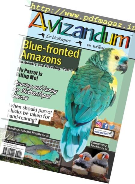 Avizandum – February 2017 Cover