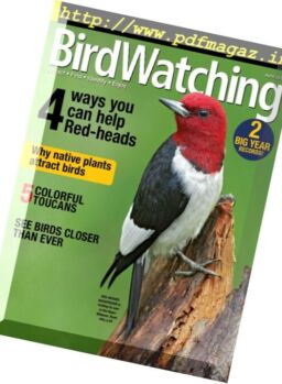 BirdWatching – April 2017