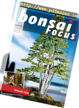 Bonsai Focus – January-February 2017