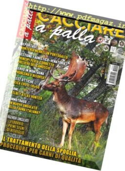 Cacciare a Palla – Febbraio 2017