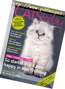 Cats Today – Nr.2, 2017