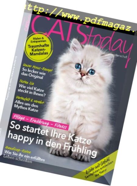 Cats Today – Nr.2, 2017 Cover