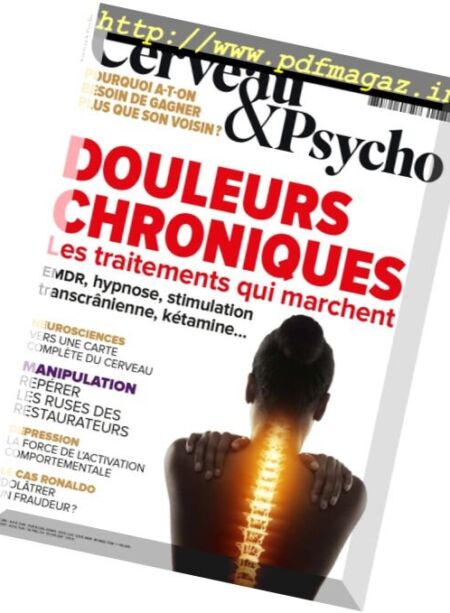 Cerveau & Psycho – Fevrier 2017 Cover