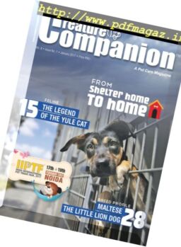 Creature Companions – January 2017