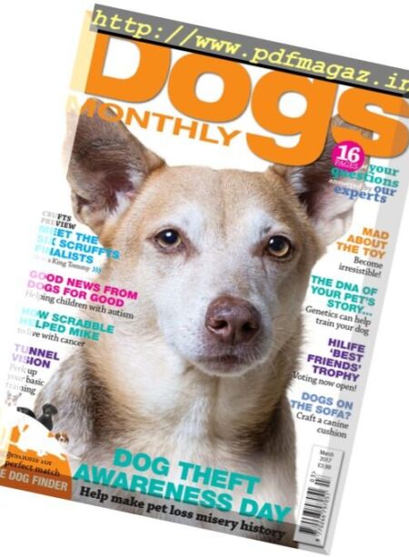 Dogs Monthly – March 2017 Cover