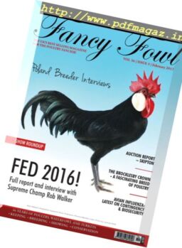 Fancy Fowl – February 2017